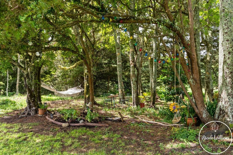 Near-New Home on 6 Acres in Paparoa64461192473602113