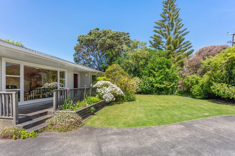 Love at First Sight - Act Fast!64461738619649112