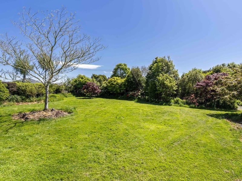 Modern Elegance In Parklike Setting64461738705794112