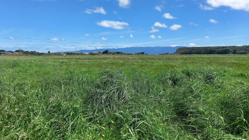 A Rare Coastal Gem With Untouched Potential64465134170627113