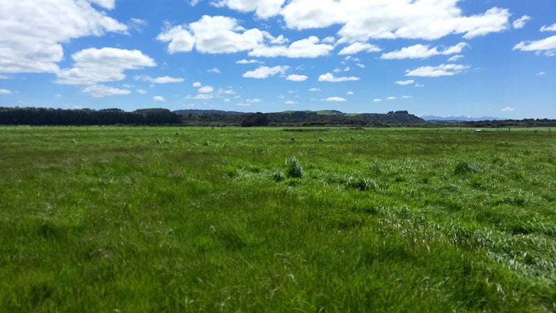 A Rare Coastal Gem With Untouched Potential64465134170627114