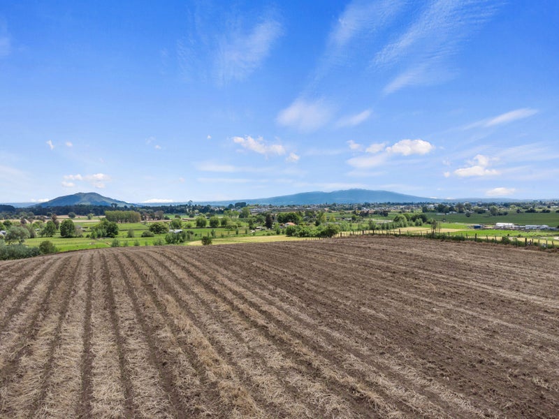 Maize or Dairy Support in Enviable Location64469885197441113