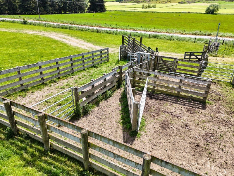 Dipton Grazing & Finishing Unit64682296274435113