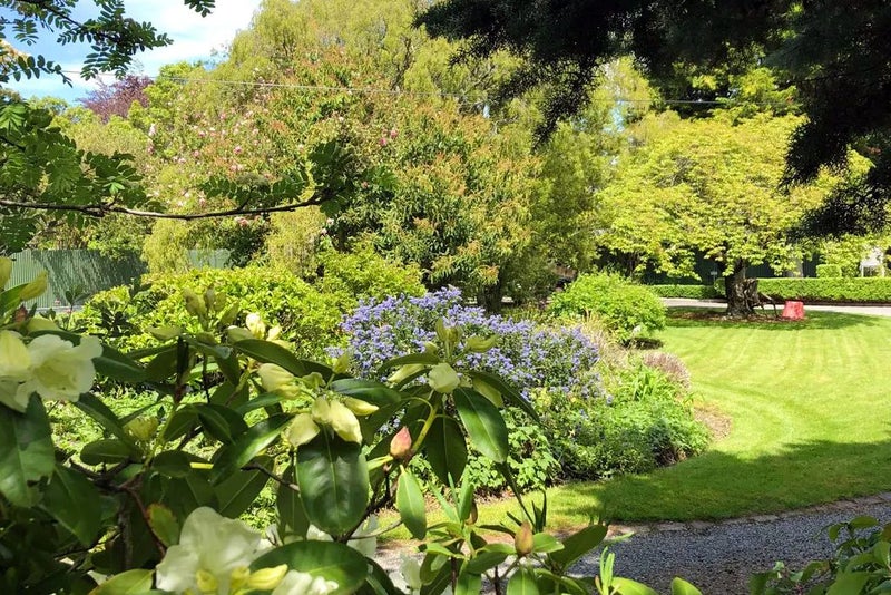 Established Section - No Covenants64470517435907112