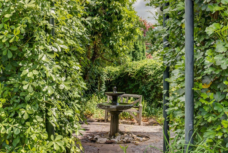 Resort-Style Retreat with Pool, Privacy and Sun64472234196097113