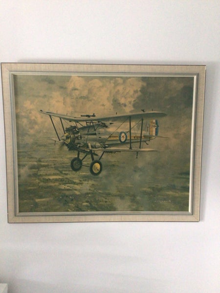 Bristol Bulldog fighter Carousel 1