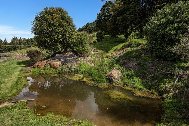 Shedding & Space - Lifestyle Block in Kauri64472623110274113
