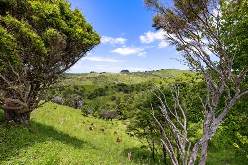 Sheltered Block with Incredible Coastal Views64472623186945112