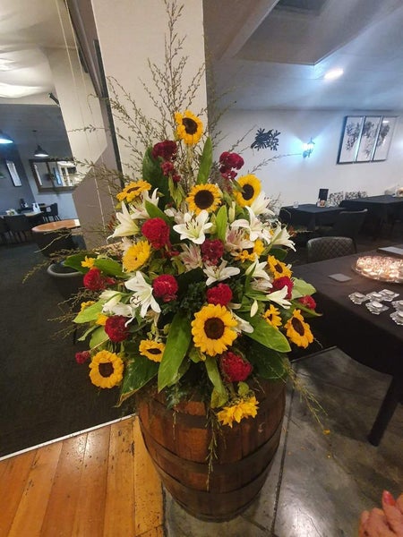 OLYMPUS camera SP-550UZ Carousel 20