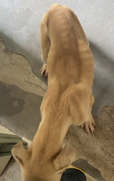 Baby's got blue eyes ... Carousel 6