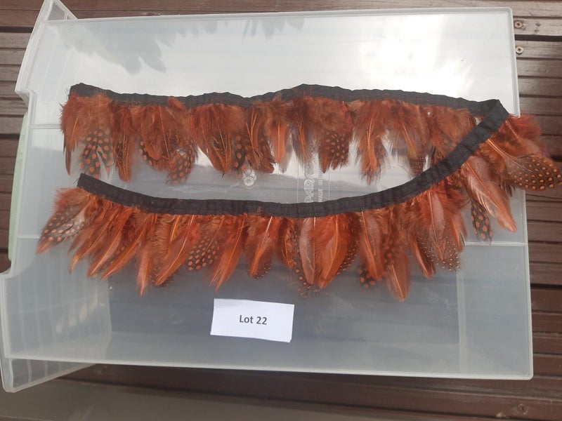 2 x Feather Embellishments - Lot 22 Carousel 3