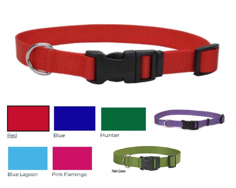 DOG COLLAR - COASTAL TUFF MEDIUM 20MM 35CM TO 50CM ASSORTED COLOURS Carousel 1