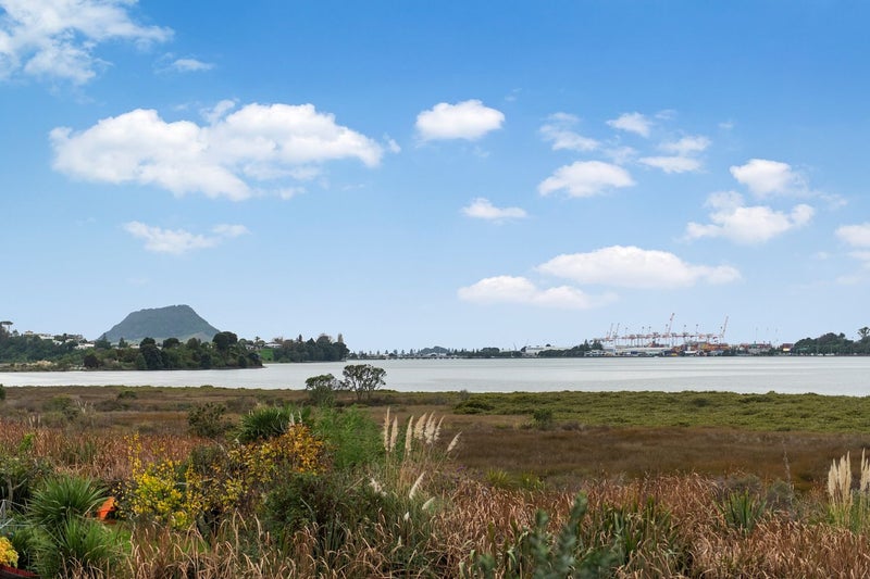 Judea, 3 bedrooms64482938285442112