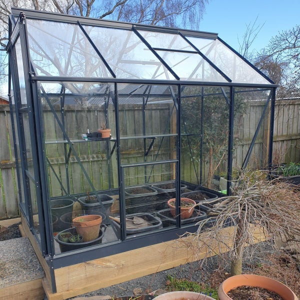 Fairway Glasshouse 6x8ft SINGLE DOOR