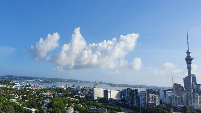 Freemans Bay, 3 bedrooms64485701575810113