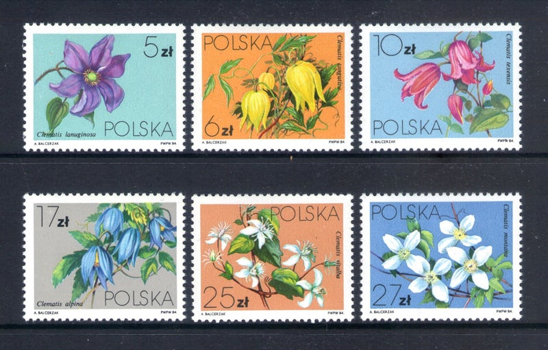 Poland - 1984 Flowers / Clematis Set (6) - UHM - 2921/6 Carousel 1