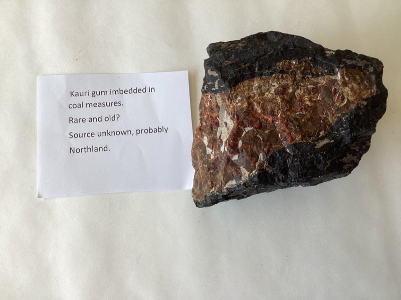 Kauri gum Carousel 1