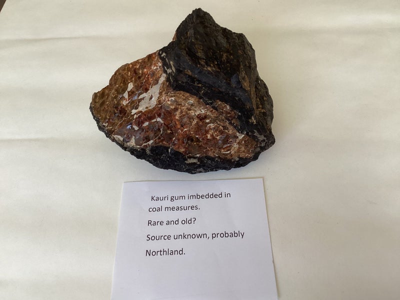 Kauri gum Carousel 2