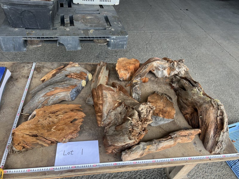 Ancient Swamp Kauri – Small Items / Offcuts / Roots Lot64493469930754112