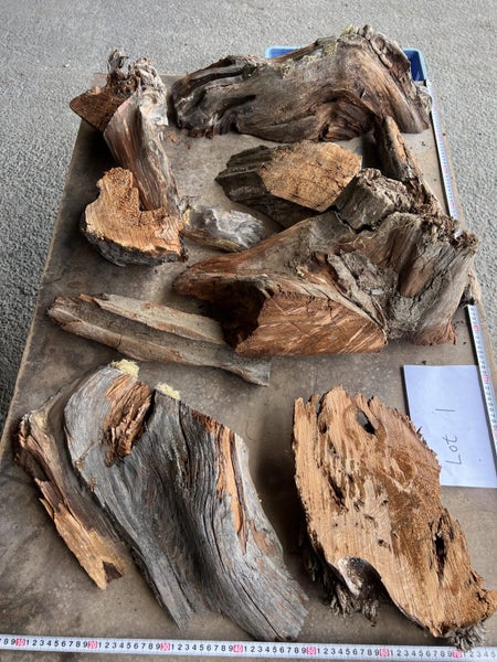 Ancient Swamp Kauri – Small Items / Offcuts / Roots Lot64493469930754113