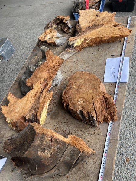 Ancient Swamp Kauri – Small Items / Offcuts / Roots Lot Carousel 20