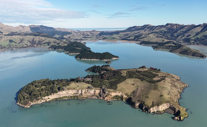 DJI Mini 4 Pro Fly More Combo — With Intelligent 3850mAh Batteries (˜45min)64496909752833114