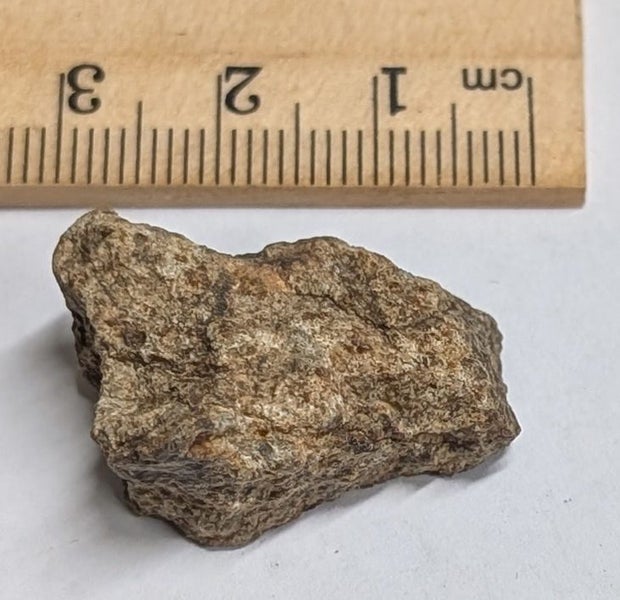 9.8 Gram NWA Chondrite Meteorite WITH HALF FUSION CRUST (#T7220) Carousel 2