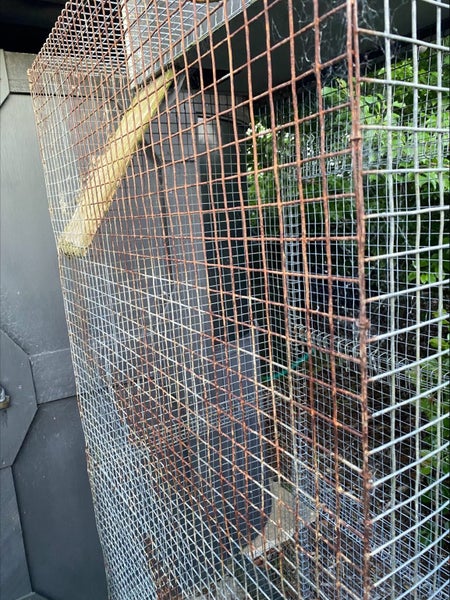 Rabbit Hutch with Run - Outdoor Carousel 8