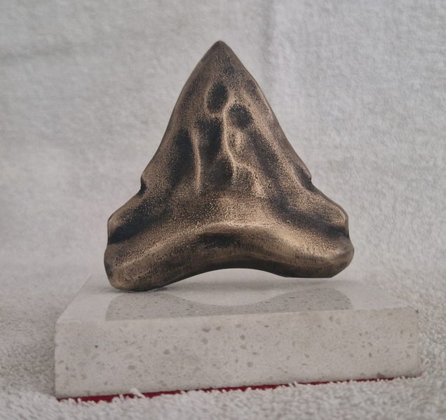 Bronze Megalodon tooth Carousel 1