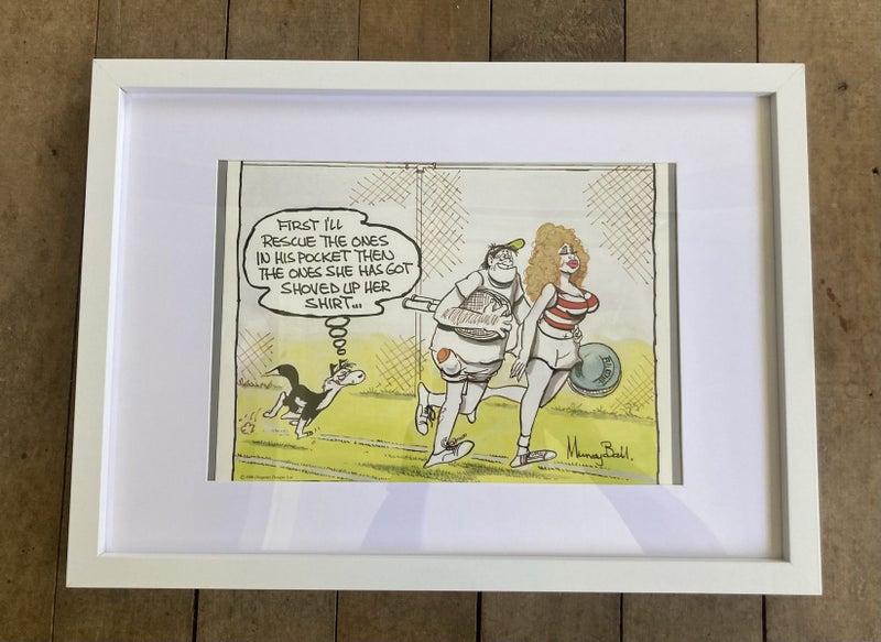 #3 Footrot flat pic in frame Carousel 1
