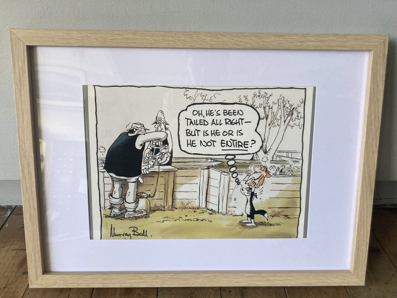 Footrot flats pic in frame #6 Carousel 1