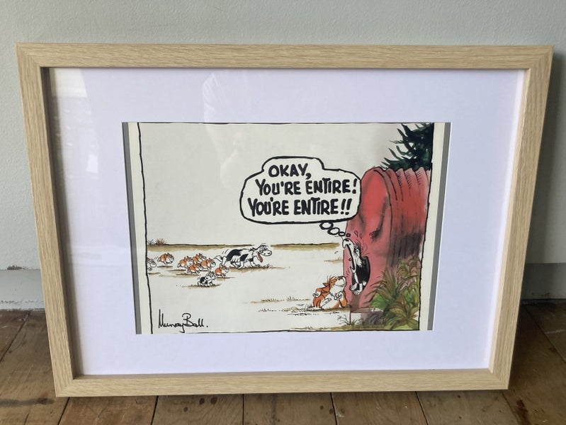 Footrot flat pic in frame #7 Carousel 1