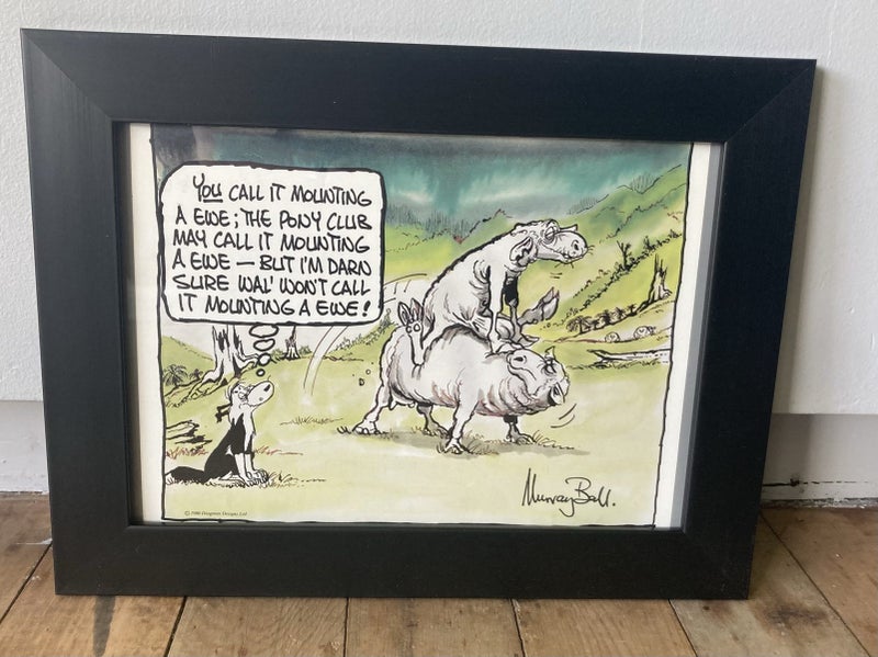 Footrot flat in frame #8 Carousel 1