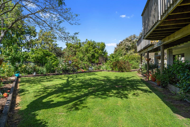 The Triple D!64505126745987112