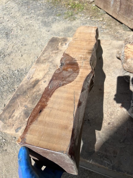 One Lot of Solid Ancient Swamp Kauri Offcuts (Includes One Mega Curl Piece)64506138554498113