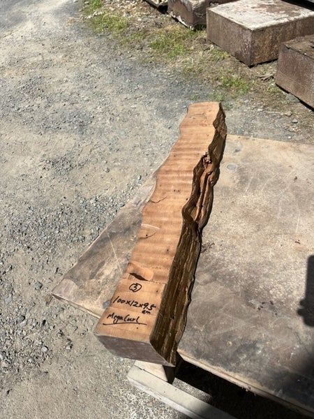 One Lot of Solid Ancient Swamp Kauri Offcuts (Includes One Mega Curl Piece)64782639779331113