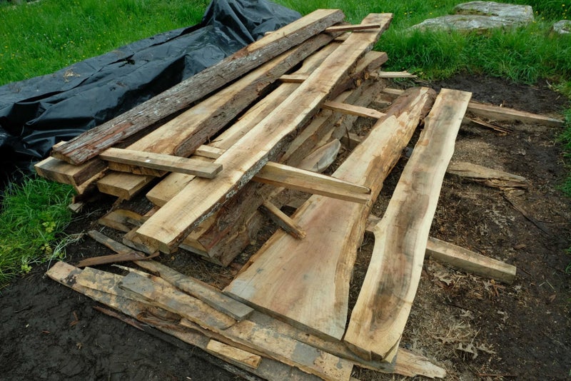 LARGE SOLID JAPANESE CEDAR TIMBER SLAB - Dry, Untreated. Circa 3 metre lengths Carousel 1