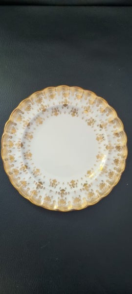 SPODE fine Bone China64506766964737111