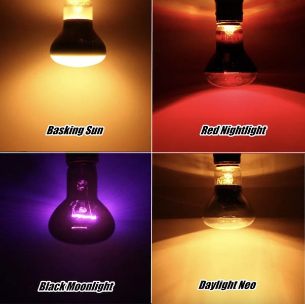 4PCS 100W Reptile Heat Lamp Bulb on Afterpay64508039376131112