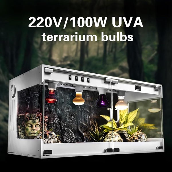 4pcs 100W Reptile Heat Lamp Bulb on Afterpay64585947579649111