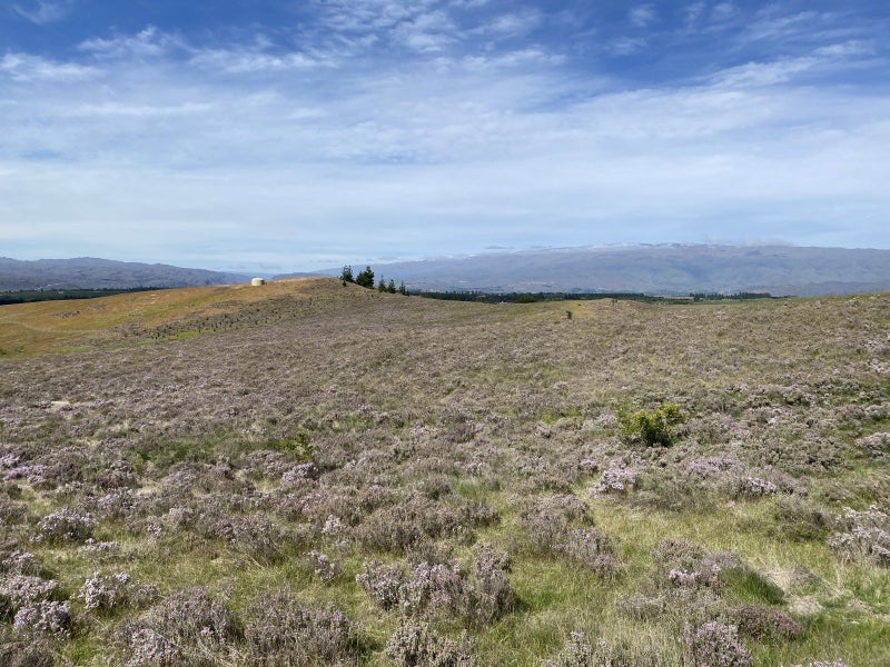 Lifestyle - With Your Weekends Free!64576234066178114