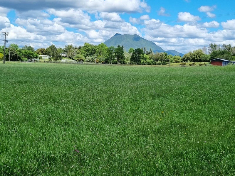 Imagine Yourselves Here On 1.5 ha64515059563778112