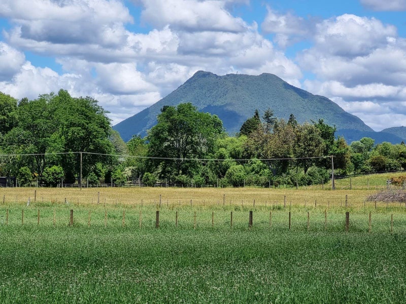 Imagine Yourselves Here On 1.5 ha64515059563778113