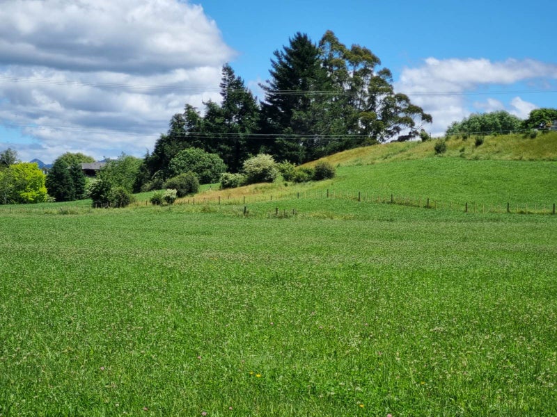 Imagine Yourselves Here On 1.5 ha64515059563778114