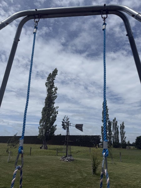 Baby swing with stand Carousel 4