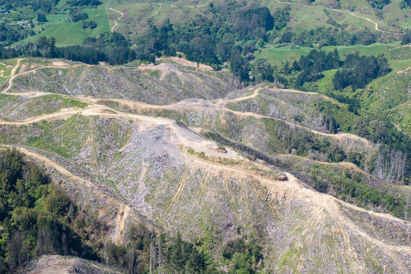 Rural Block with RC Approved for Subdivision64516546120065113