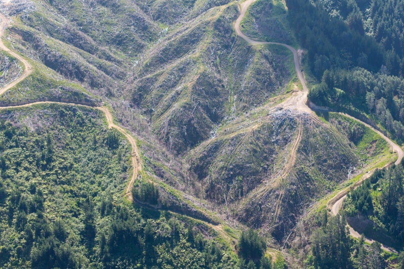 Rural Block with RC Approved for Subdivision64516546120065114