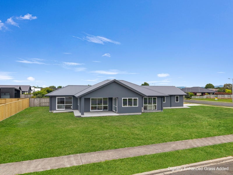 Your Everyday, Elevated in Every Way64516345867265113