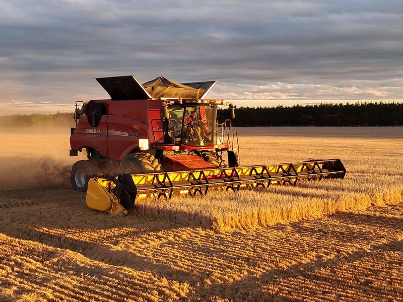 Blue Sky Farm Co Carousel 1