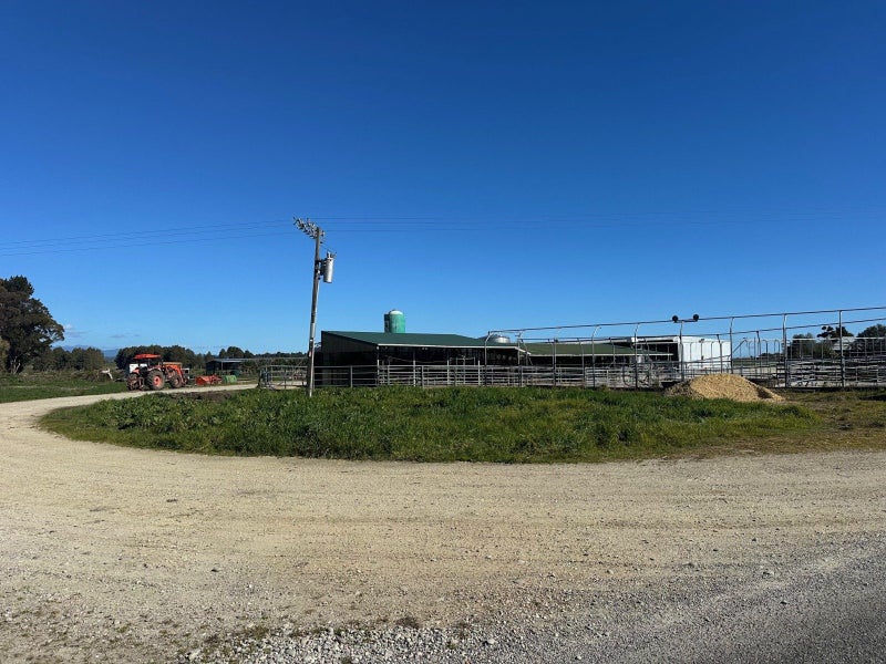 Karamea Dairy – Strong Production &...64517325590659110